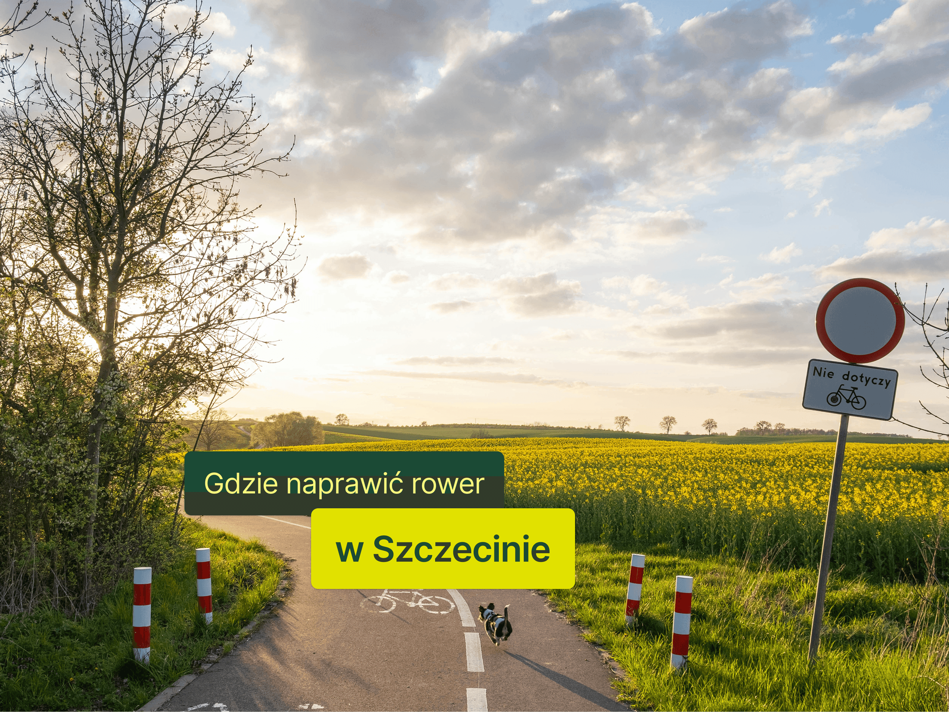 Gdzie naprawić rower w Szczecinie